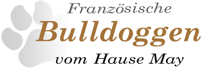 französische Bulldoggen vom Hause May