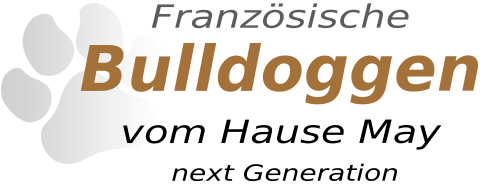französische Bulldoggen vom Hause May
